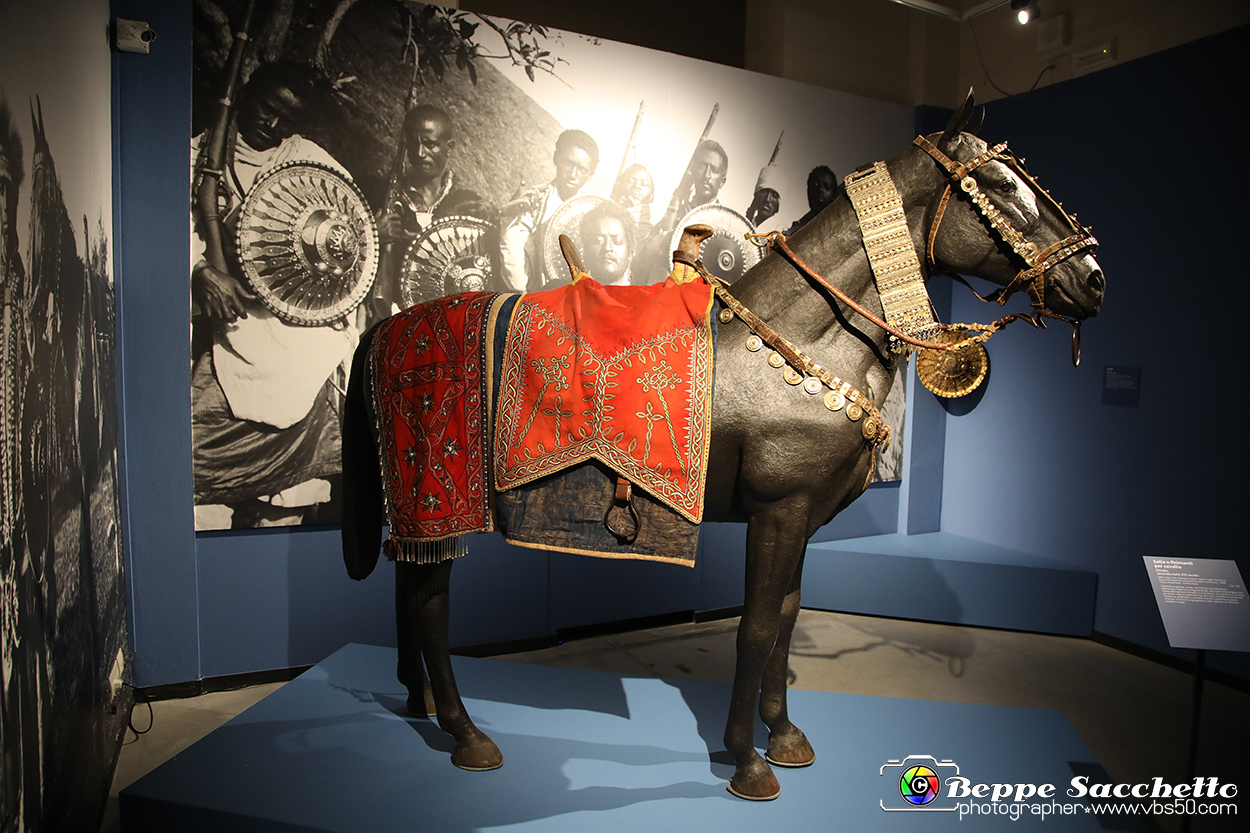 VBS_5634 - Africa - Le collezioni dimenticate.jpg